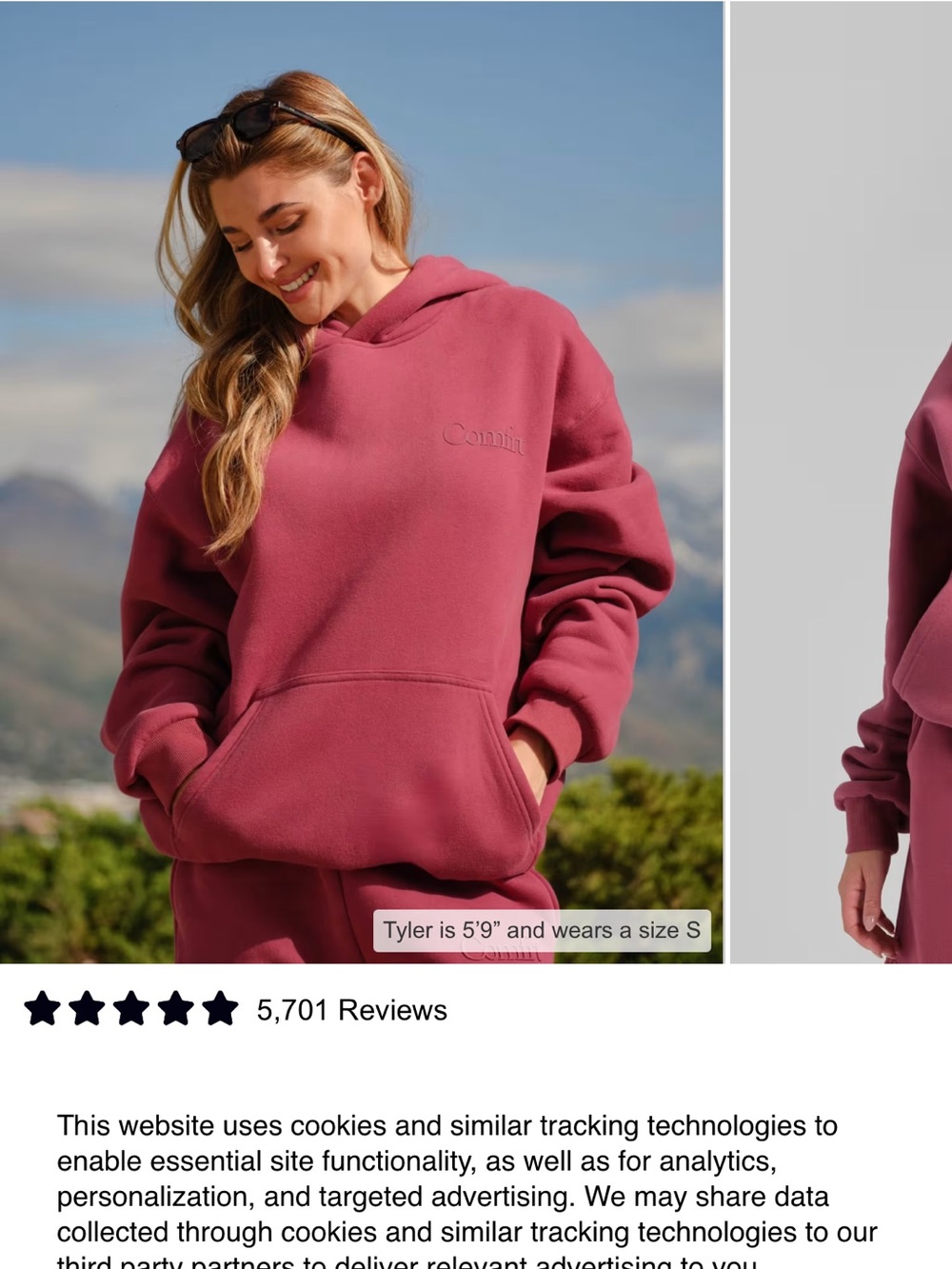 Comfrt Mininalist Hoodie in Dusty Rose